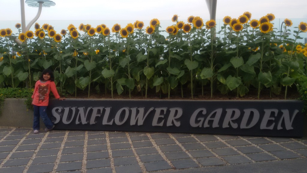 Nadia @Sunflower Garden