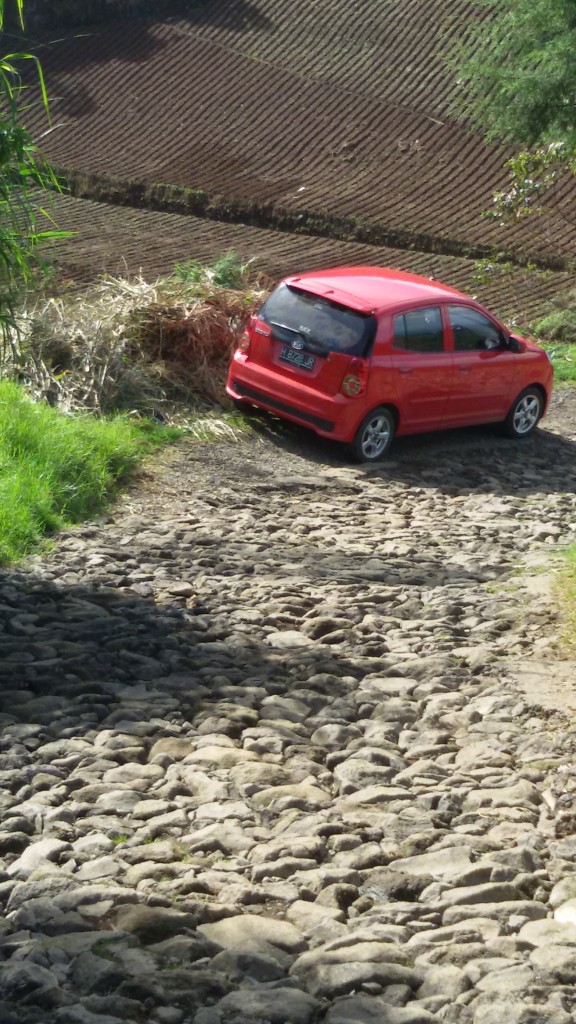 si merah yang sudah melalui berbagai rintangan :)