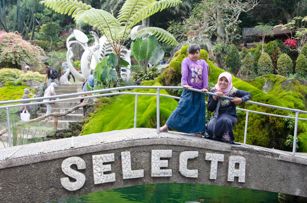 welcome to Selecta :)
