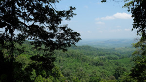 sepanjang jalan kenangan beginilah pemandangannya