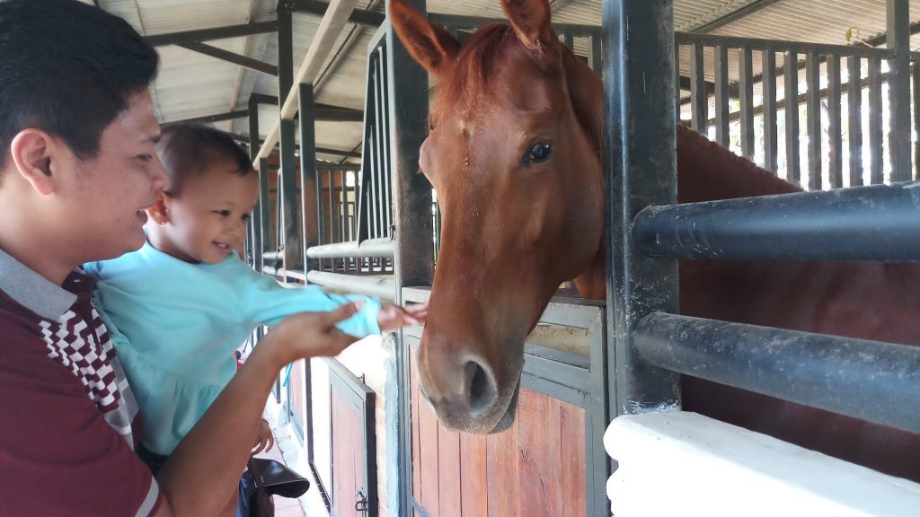 nirwana stable horse