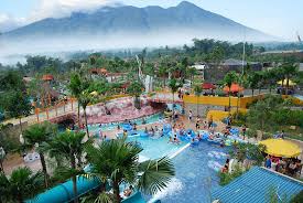 jungleland adventure park