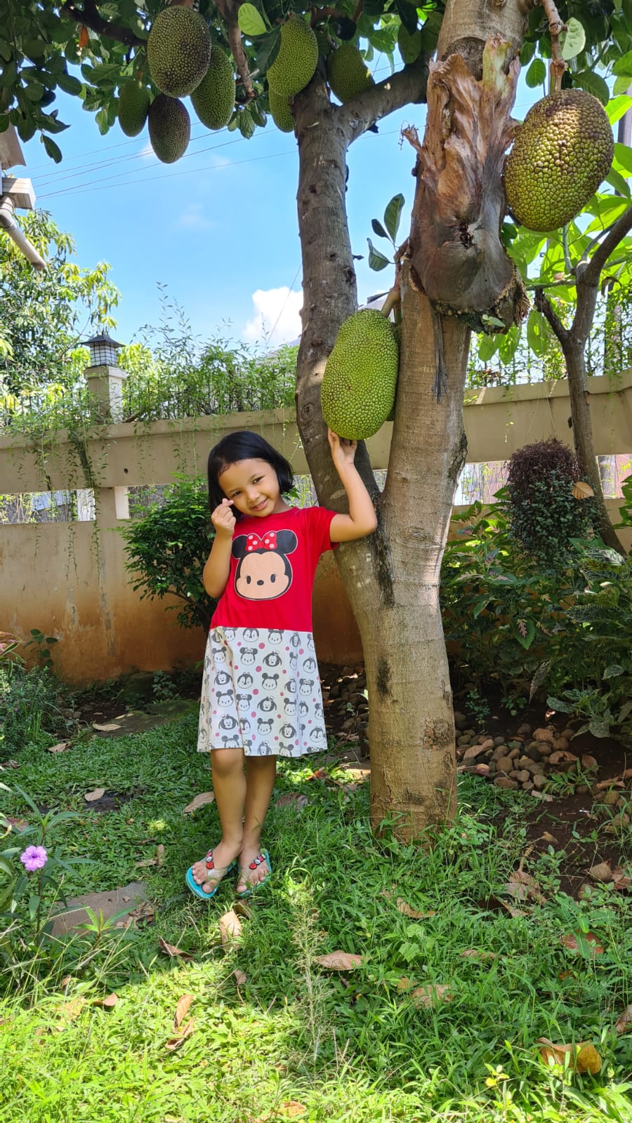 berkebun di rumah